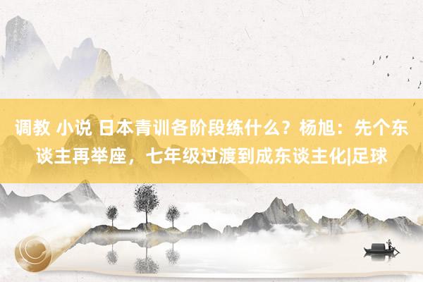 调教 小说 日本青训各阶段练什么？杨旭：先个东谈主再举座，七